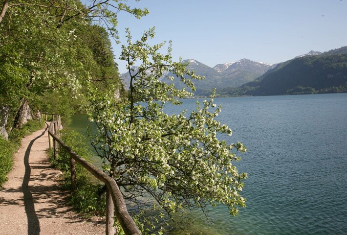 A week in the sign of fall / spring at Lake Wolfgangsee