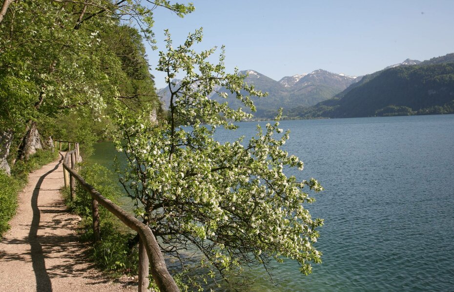 A week in the sign of fall / spring at Lake Wolfgangsee A week in the sign of fall / spring at Lake Wolfgangsee