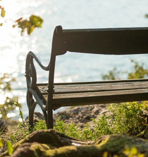A week in the sign of fall / spring at Lake Wolfgangsee