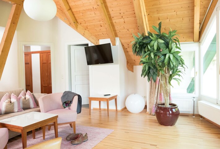 Hotel Salzkammergut - Vacation in our Suite Falkenstein 
