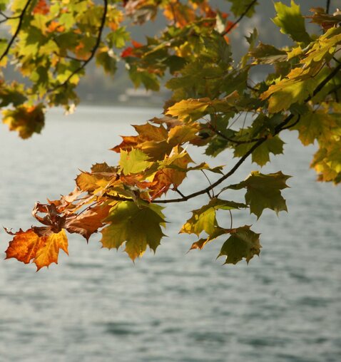 Autumn vacation at the lake, Salzkammergut, Wolfgangsee