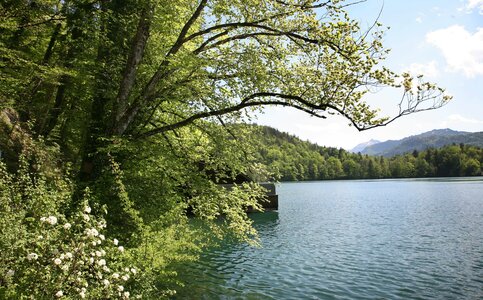 Hotel Fürberg am Wolfgangsee, St. Gilgen: Impressionen