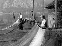 trocknen-der-baumwollfischnetze-1900